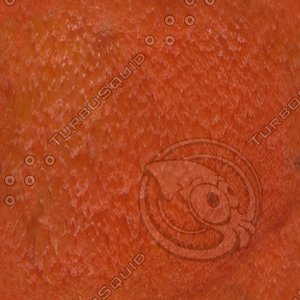 red flower.jpg