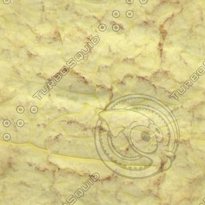 yellow plant leaf.jpg