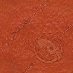 red berry.jpg
