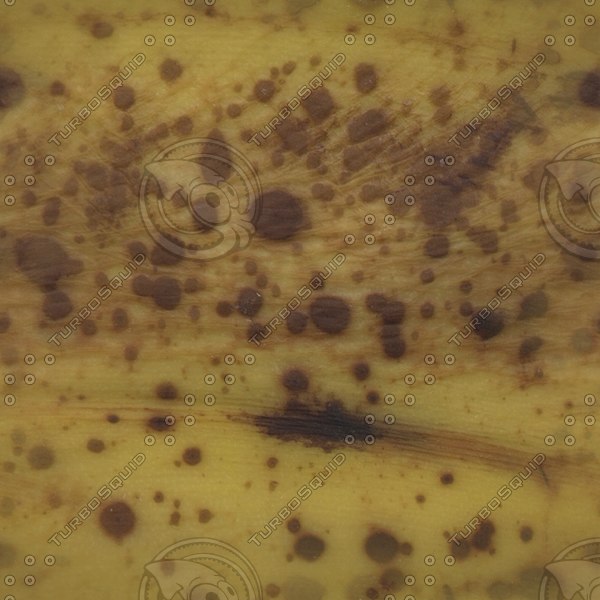  https://static.turbosquid.com/Preview/2014/08/01__11_29_17/PL49.jpgDD9BFDBB-8168-4418-955EFF4BED0026D6Larger.jpg