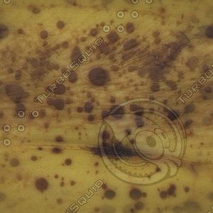rotting banana.jpg