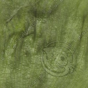 lush leaf.jpg