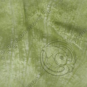 light green leaf.jpg