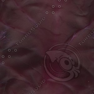 deep purple petal.jpg