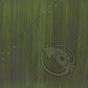 dark grass blade.jpg