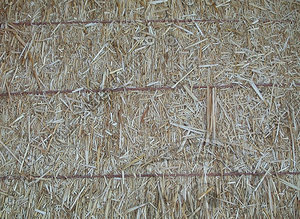 hay.jpg