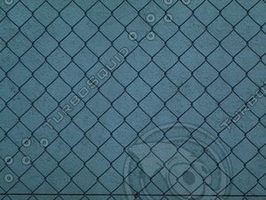 chain link fence.jpg