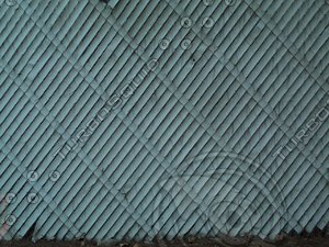 fence2.jpg