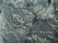rock face155.jpg