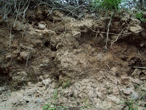 mud ground.jpg
