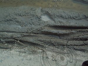 muddy ground.jpg