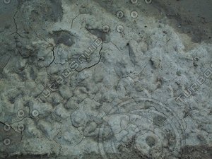 cracked muddy ground.jpg
