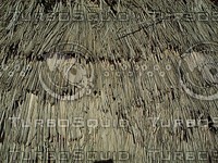 thatched roof.jpg