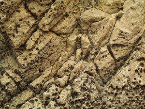 porous rock detail.jpg