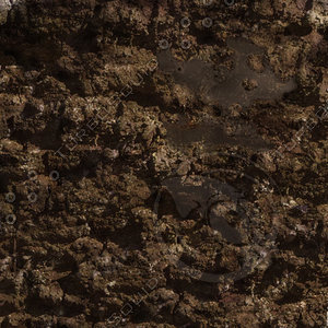 muddy ground.jpg