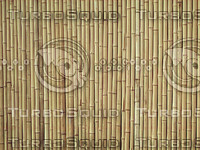 bamboo sticks plant.jpg