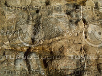 veined cracked rock.jpg