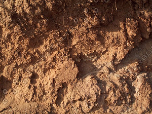 red ground dirt.jpg