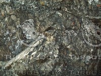 cracked granite rock wall.jpg