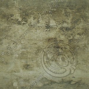 weathered cracked board.jpg
