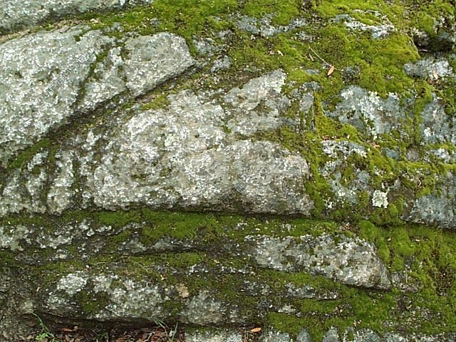 Texture Other Moss Mossy Rock