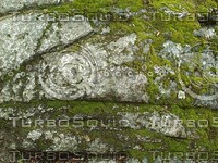 mossy rock88.jpg