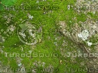 mossy rock 2.jpg
