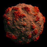 coral nature shader AA30007.tar