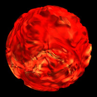 coral nature shader AA30023.tar