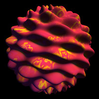 coral nature shader AA30031.tar