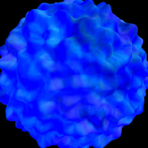 water nature shader AA31131.tar