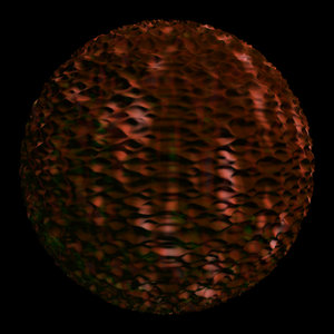 tree bark shader AA31211.tar
