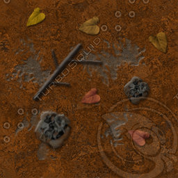 MuddyAutumnGround01.jpg