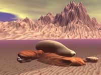 Purple Lake.jpg