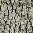 bark_tile.jpg