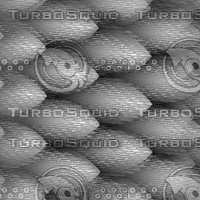 featherbump256.jpg