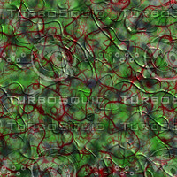 skin alien AA26115.jpg