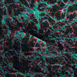 skin alien AA26151.jpg