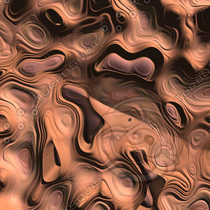 skin alien AA26411.jpg