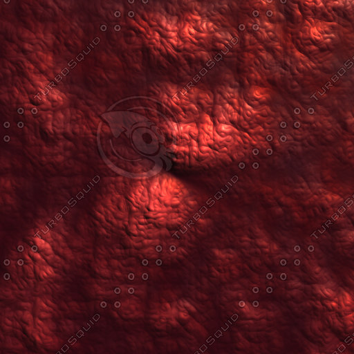 Texture JPEG nature shell red