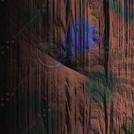 Texture JPEG nature nut shell
