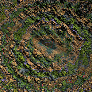 nature wierd AA36401.jpg