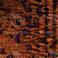 nature purple AA36429.jpg