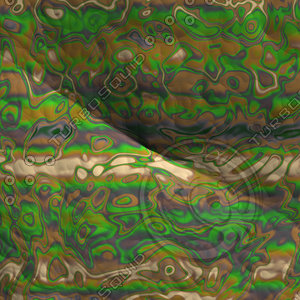 nature shell AA36713.jpg