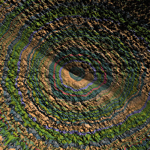 nature spikey AA36747.jpg