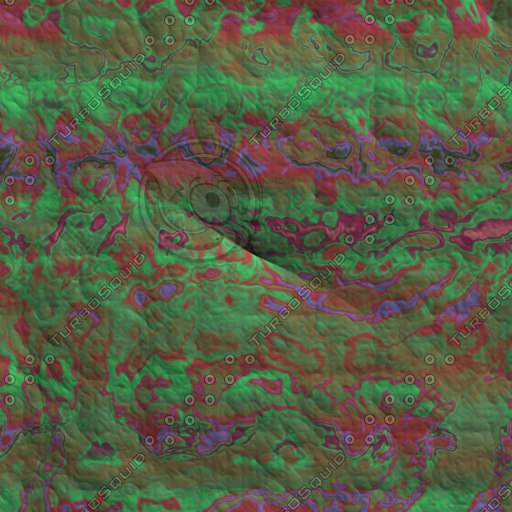 Texture JPEG nature shell hard