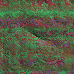 nature shell AA36921.jpg