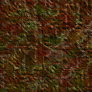 nature brown AA36925.jpg