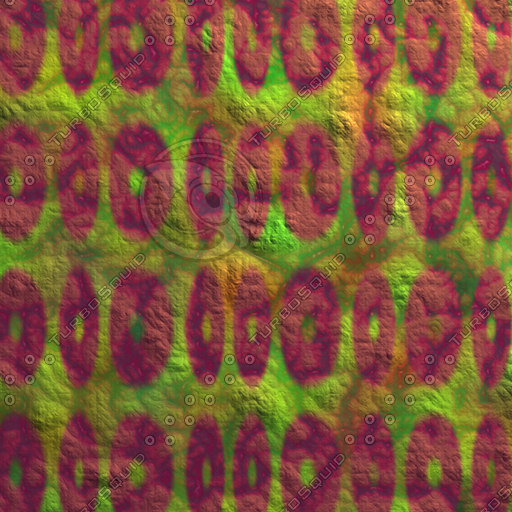 Texture JPEG nature shell hard