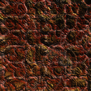 nature brown AA37543.jpg